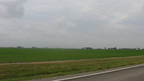 Soybean field in Harrison Township
