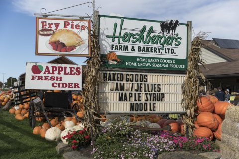 Fall display at Hershberger's Farm and Bakery, a greatly expanded produce stand near the town of Berlin in central Ohio…