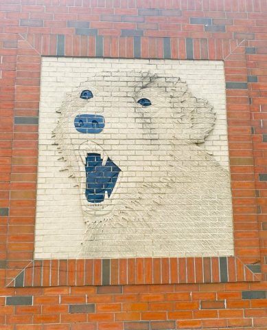 Jackson Polar Bears 7-15-24 thumbnail IMG 2043