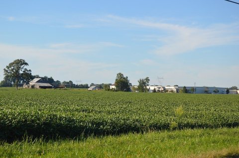 Harlan Township south of Pleasant Plain
