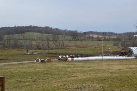 Monroe Township dairy farm on North Liberty Road