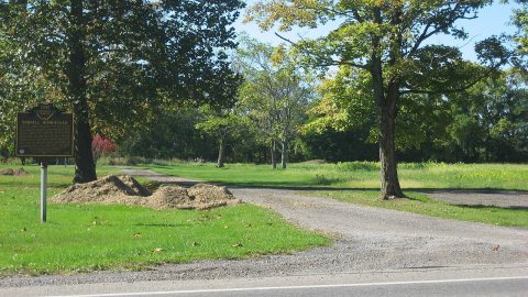 Burrell Orchard Site from road
