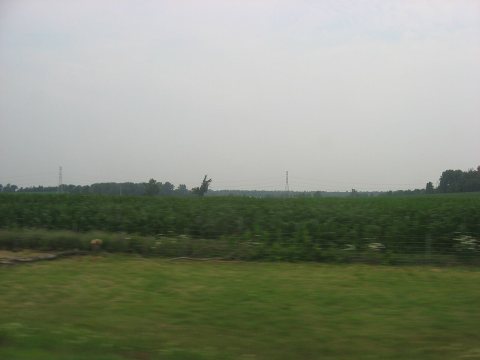 Florence Township, Erie County, Ohio