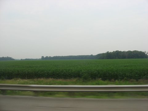 Fields and woods in Groton Township