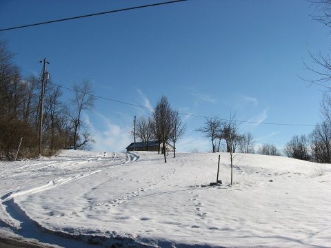 Brewer Log House site