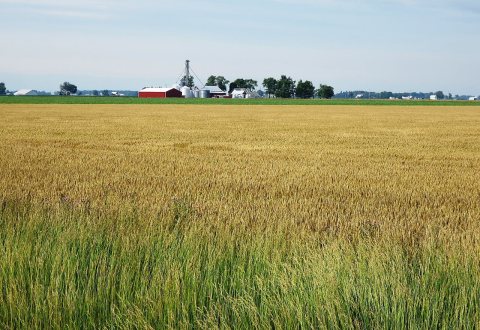 Pleasant Township, OH, USA