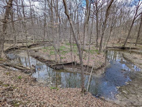 A small winding tributary to the Wellington Creek makes it way through Caley Reservation near LaGrange, Ohio on 9 April…