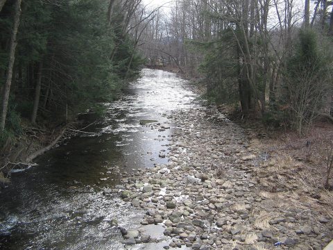 Larrys Creek in Anthony Township