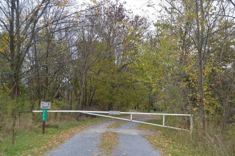 Cold Spring Farm gated driveway
