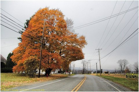 Late Fall in Mineral point - panoramio (2)
