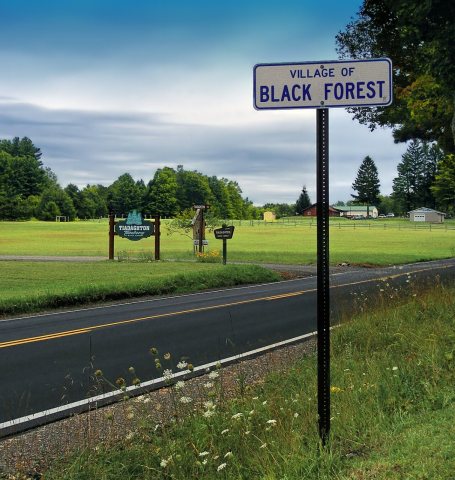 Black Forest Remote