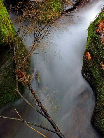 Flickr - Nicholas T - Bonnell Run (2)