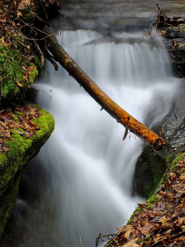 Flickr - Nicholas T - Bonnell Run (1)