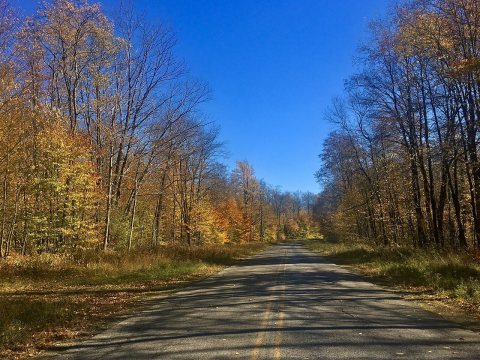 Lindholm Road, Keating Township, McKean County, Pennsylvania - "I Go Day Glo"