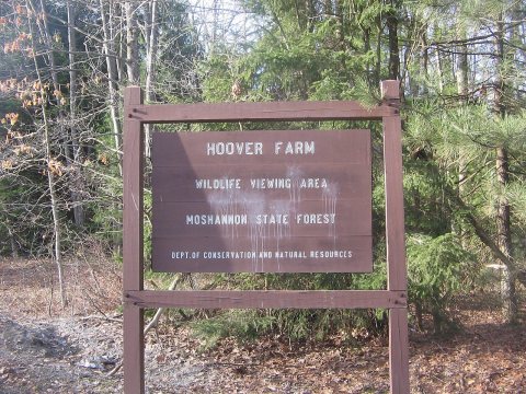 Quehanna Hoover Farm Sign