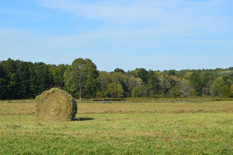 Coolspring Township hay field with bale