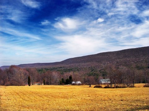 Eldred Townhip, Monroe County, Spring Cusp
