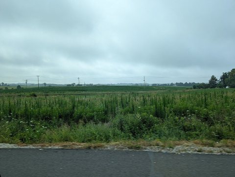 Farm off US 15, Latimore Township, PA, July 2025