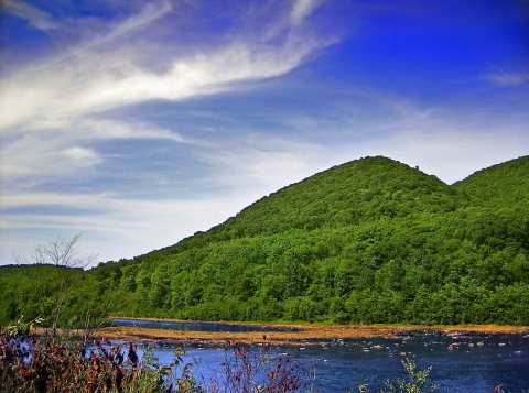 Cummings Township Pine Creek Conical