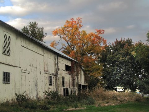 Warwick Township, PA, USA - panoramio (8)