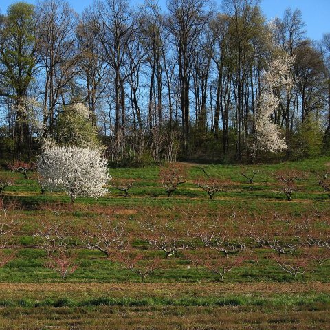 Warwick Township, PA, USA - panoramio (5)