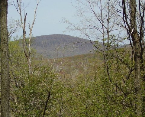 Schaefer Head as seen from Blue Knob