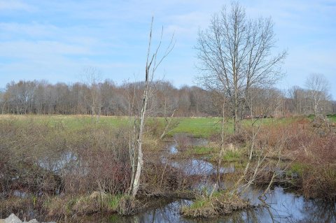 Swamp Run south of Grove City