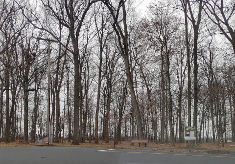 Gloninger Woods Park, North Cornwall Township, PA, Jan. 2025
