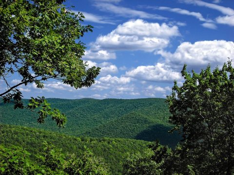 Sinnemahoning State Park Outlook