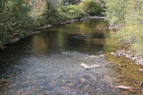 Catawissa Creek looking downstream in Main Township, Columbia County, Pennsylvania