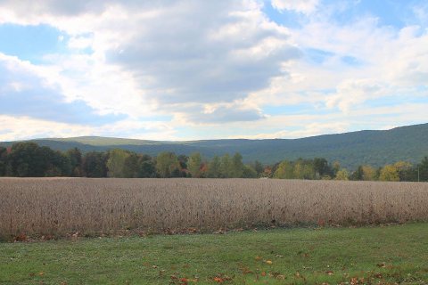 Catawissa Mountain from Fisher Run Road 1