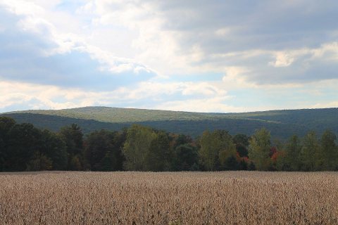 Catawissa Mountain from Fisher Run Road 2