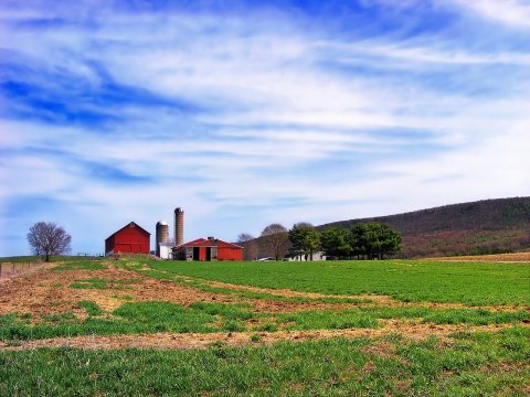 Greene Township Swaths