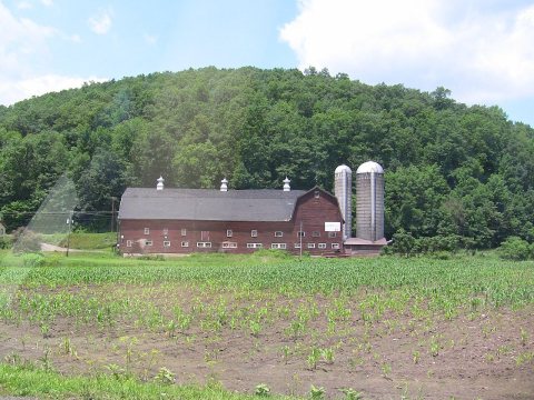 Pag-Omar Farms