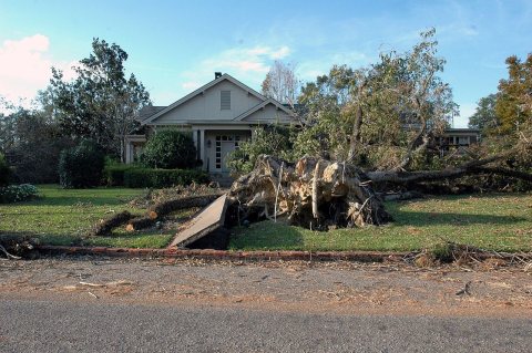 FEMA - 11195 - Photograph by Jocelyn Augustino taken on 09-23-2004 in Alabama