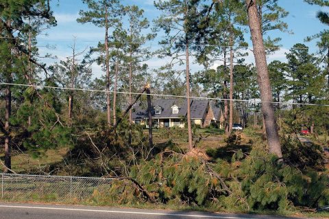 FEMA - 11199 - Photograph by Jocelyn Augustino taken on 09-23-2004 in Alabama