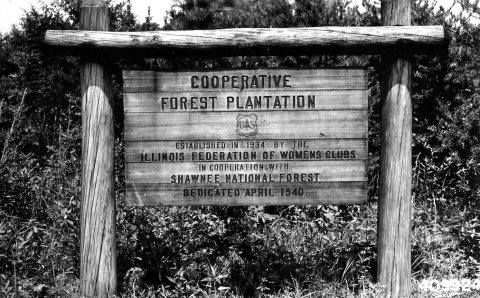 Photograph of Women's Clubs Cooperative Plantation at