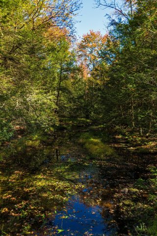 Lehigh river near source, Lehigh Twp, PA