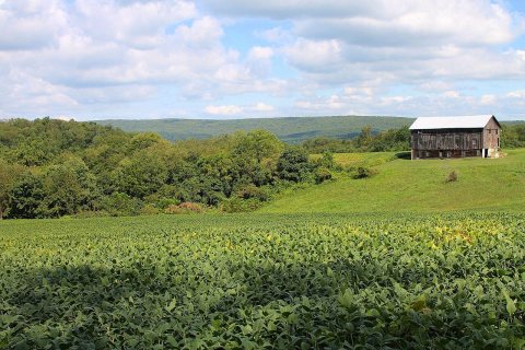 Scenery of Rush Township, Northumberland County, Pennsylvania 2