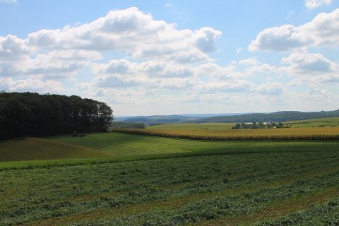 Scenery of Rush Township, Northumberland County, Pennsylvania 1