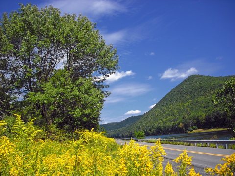 Leidy Township Roadside