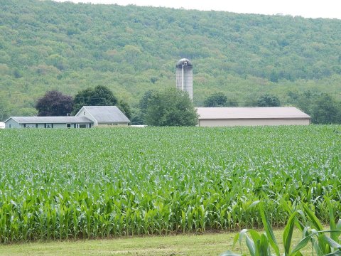 Farm on Valley Rd, Walker Twp, Schuylkill County PA 02