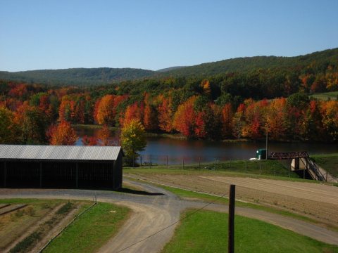 Spring Mills Rte 322