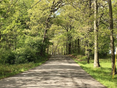 2022-05-15 09 30 17 View south during spring along a wooded segment of Herman Road in Marion Township, Beaver County, P…