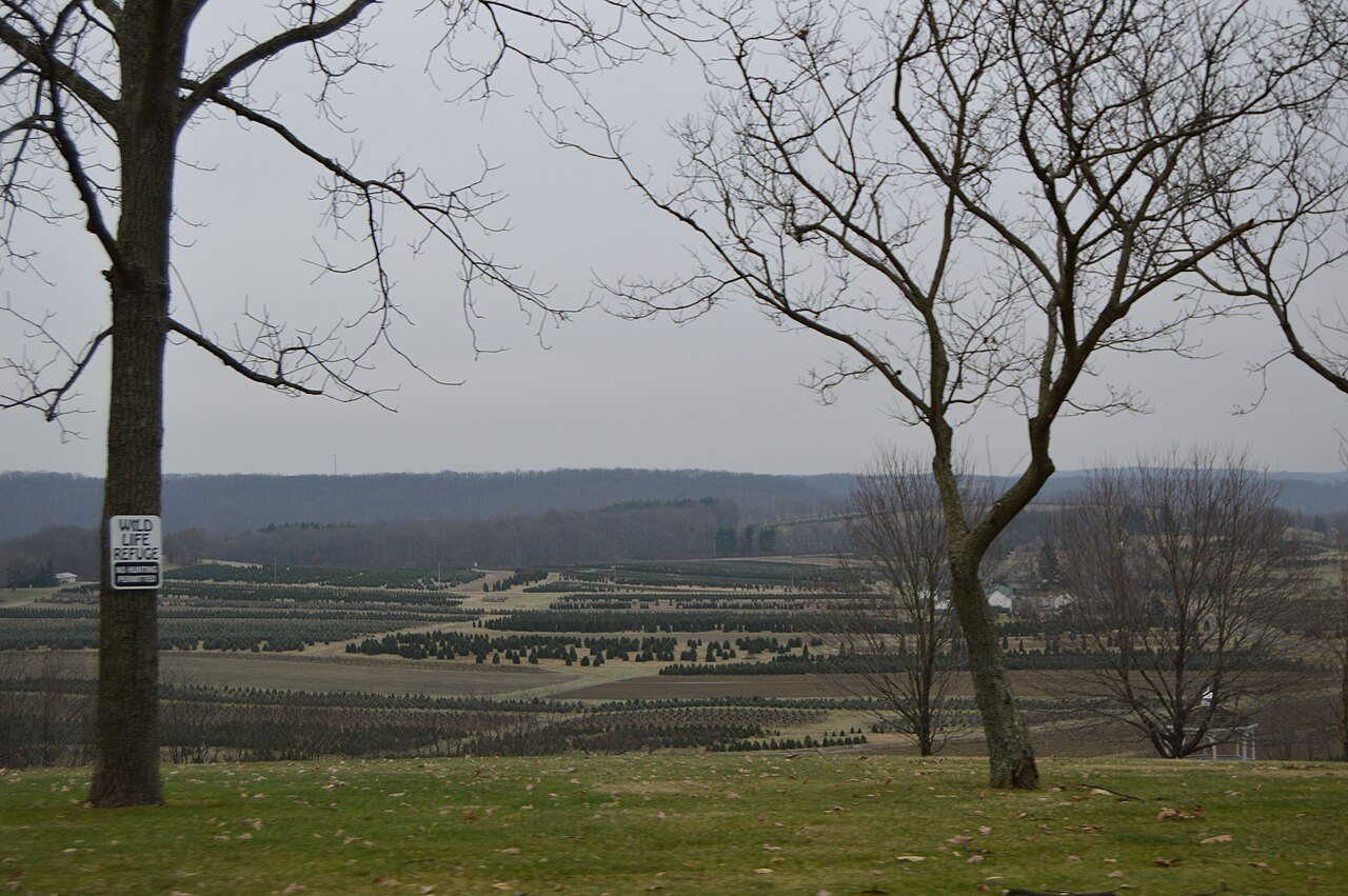 Marion Township Christmas tree farm