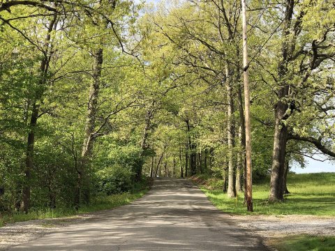 2022-05-15 09 30 06 View south during spring along a wooded segment of Herman Road in Marion Township, Beaver County, P…
