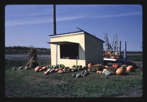 Farm stand
