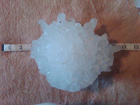 Record hailstone