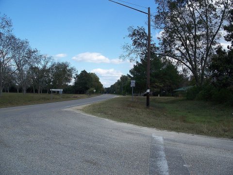 Florala AL SR 54 CR 285 east01
