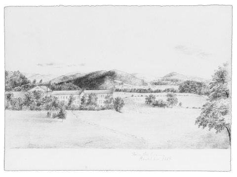 View of